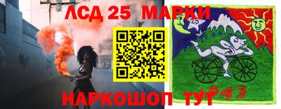 2c-b Новозыбков