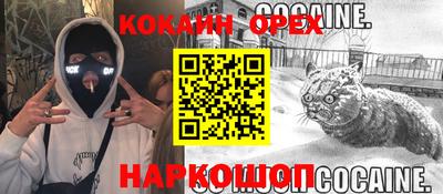2c-b Новозыбков