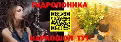 2c-b Новозыбков