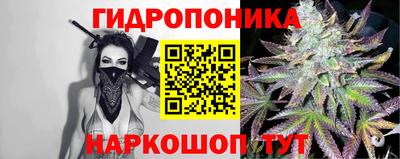 mdpv Новодвинск