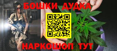 mdpv Новодвинск