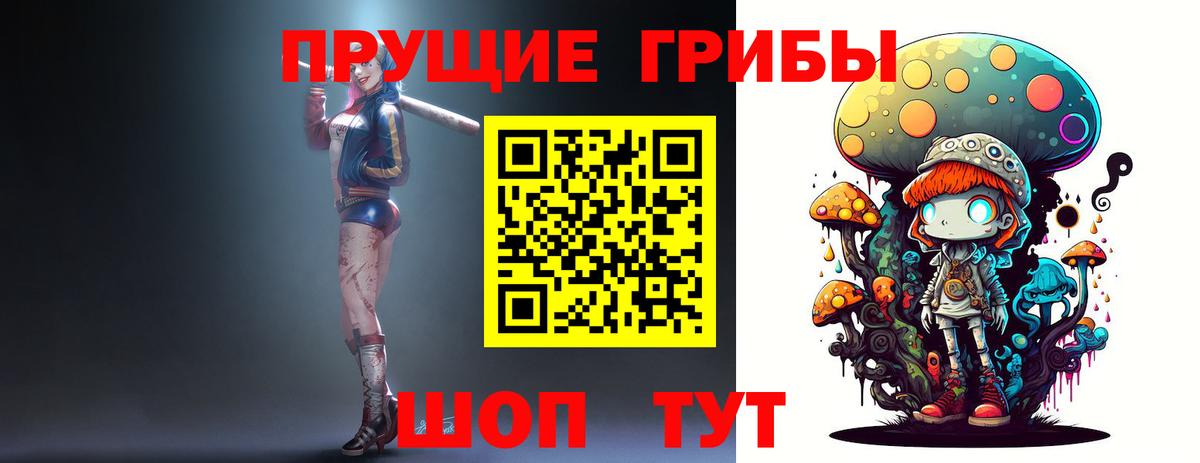 Тимашёвск  Галлюциногенные грибы Cubensis  Вход с VPN 